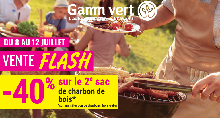 VENTE FLASH Charbon