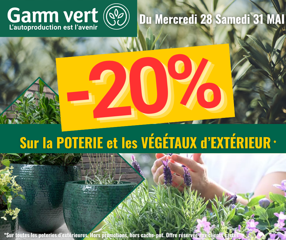 -20% POTERIE et PEPINIERE