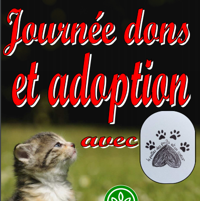 Adoption