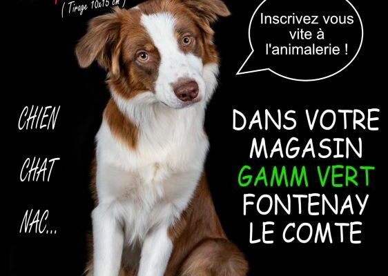 Photo animalière