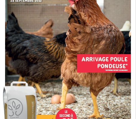 Les bons plans d&rsquo;Automne