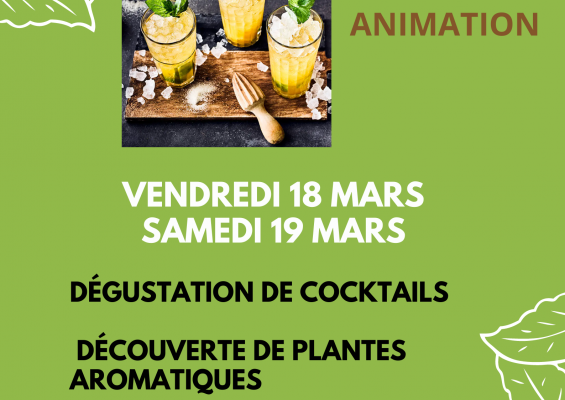 Dégustation de cocktails à base de plantes aromatiques