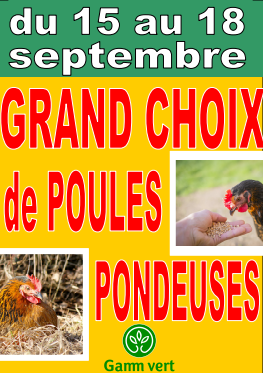Vente de Volailles