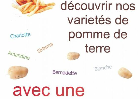 Dégustation de frites