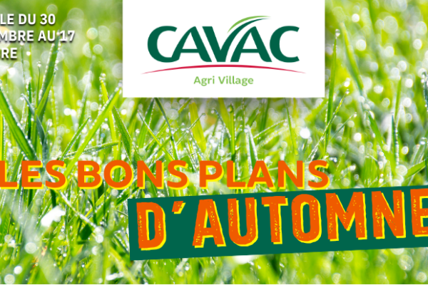 Bons plans d&rsquo;automne