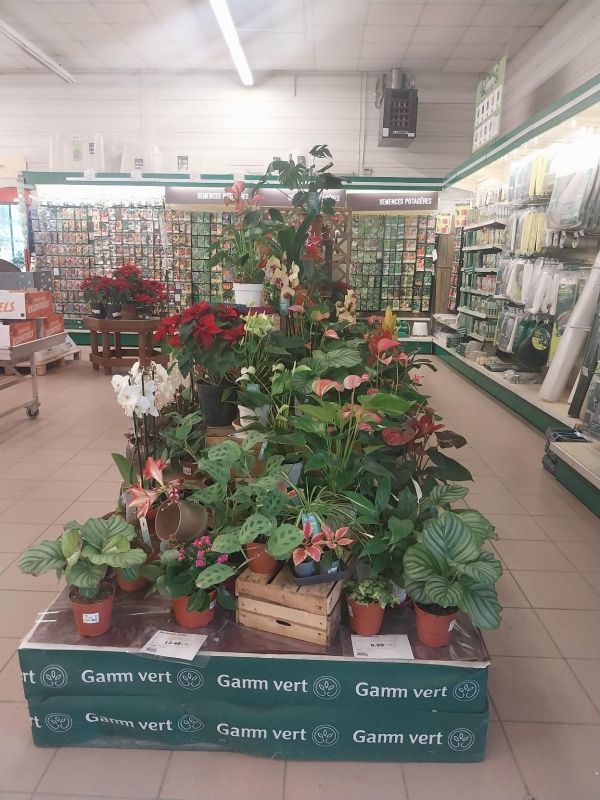 Gamm Vert Saint Laurent Des Autels