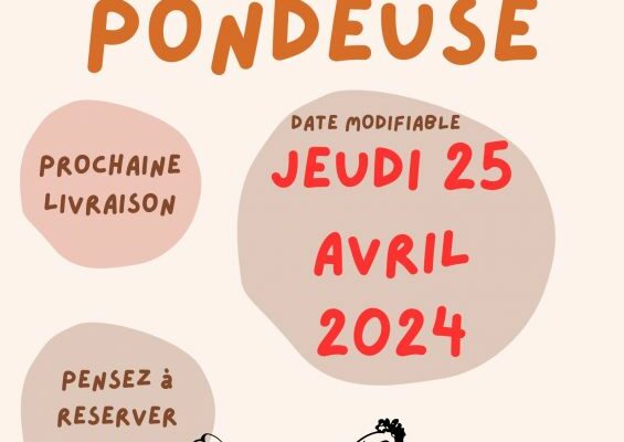 poule pondeuse