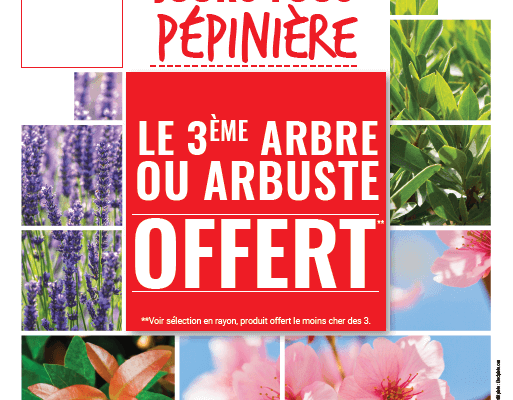 Opération pépinière arbres et arbustes