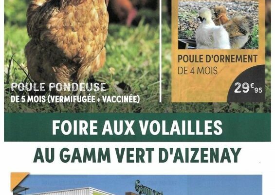 Foire à la volaille