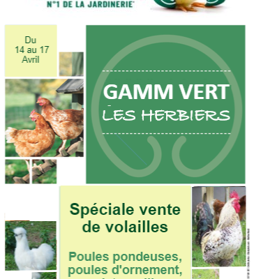 Vente de Volailles